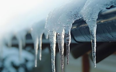 Polar Vortex reminder of winter’s wrath